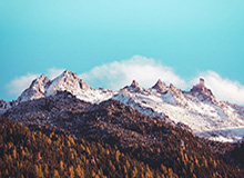 B体育官网：官方权威驱动的全场景体育生活入口，开启你的专属赛事之旅